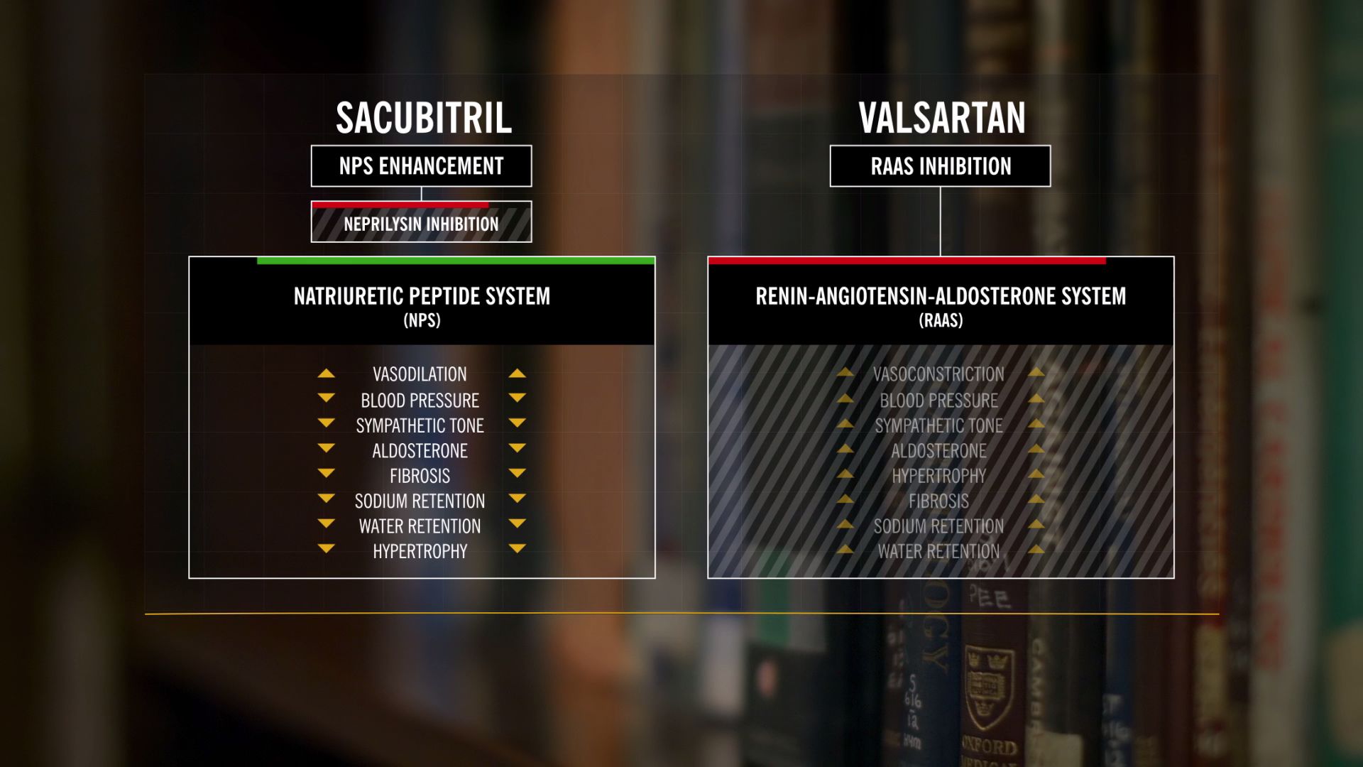 HOW DID THE RESULTS OF PARADIGM-HF COMPARE WITH EXPECTATIONS?